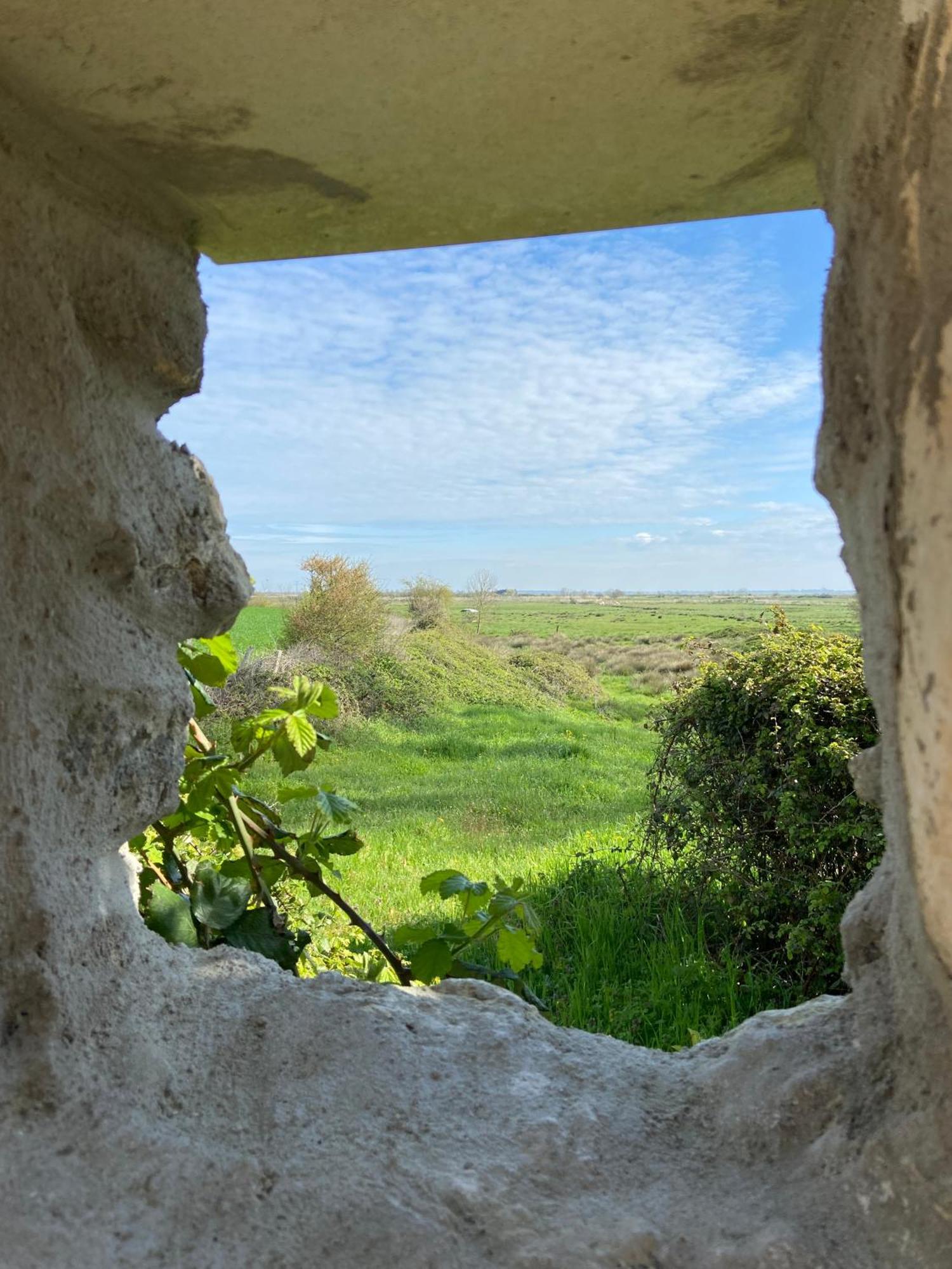 Chateau De Feusse Saint-Just-Luzac Luaran gambar