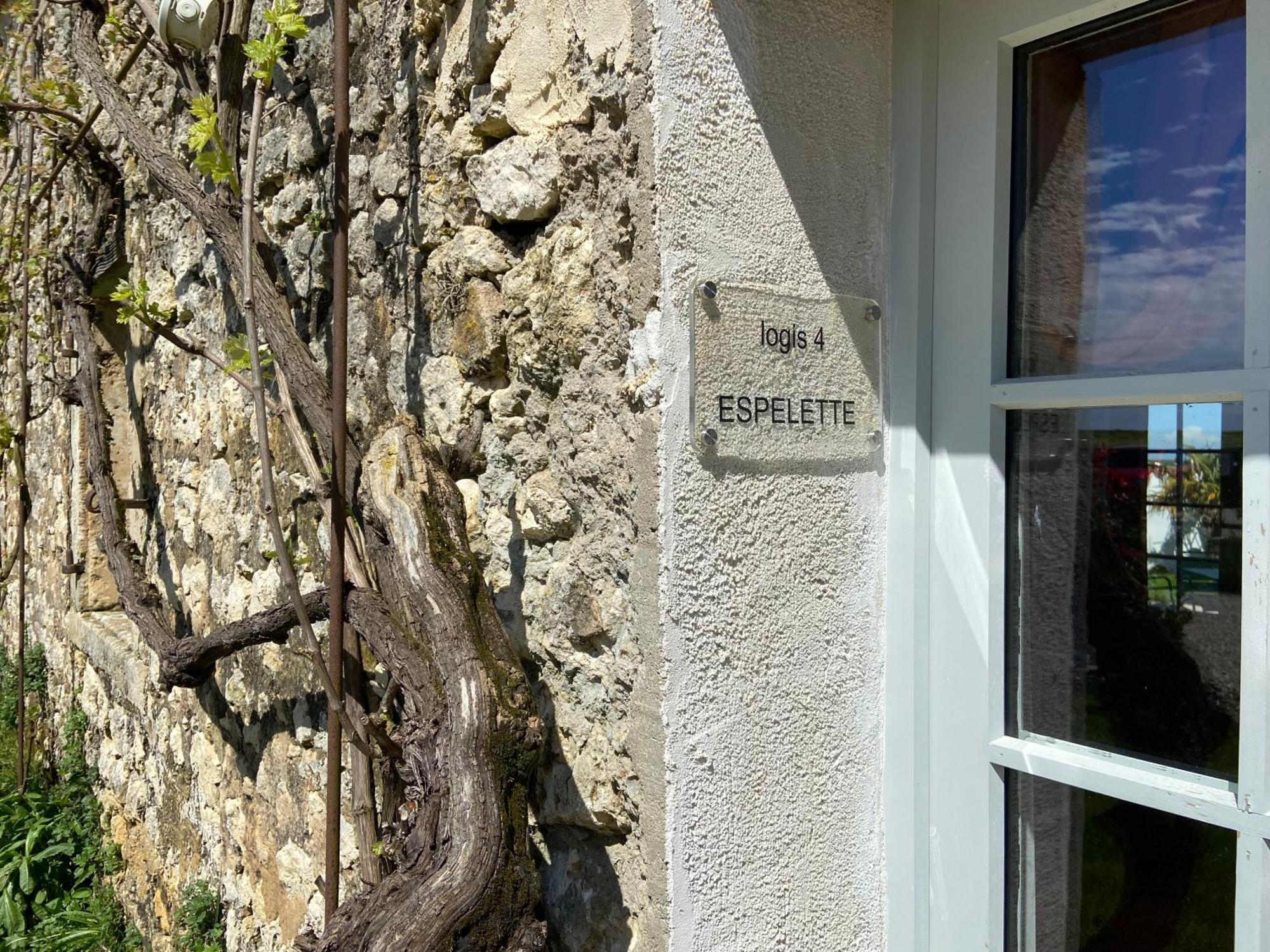 Chateau De Feusse Saint-Just-Luzac Luaran gambar